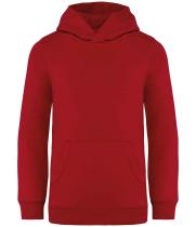 Image for NS404 HIB 10-12